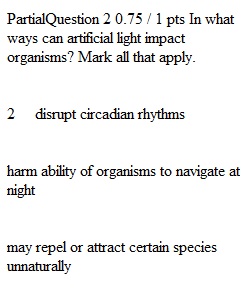 Chapter 11 Quiz